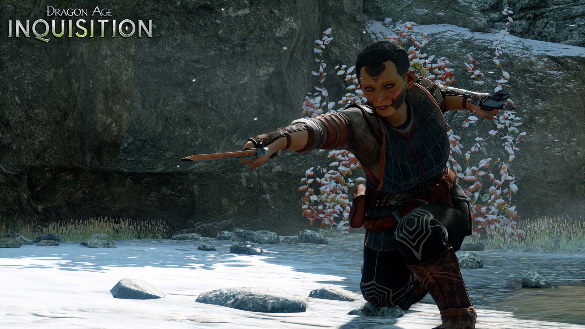 Dragon age inquisition review